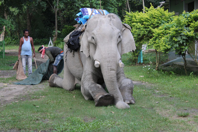 Aalo, Arunachal Pradesh, photo 3