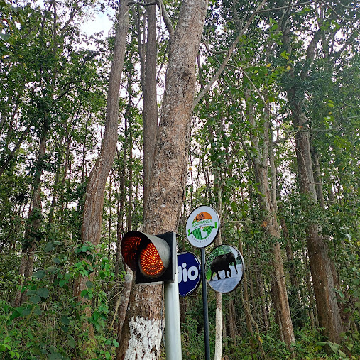 Panbari Forest, photo 3 of 6