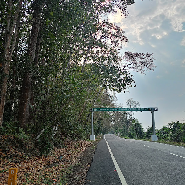 Panbari Forest, photo 4 of 6