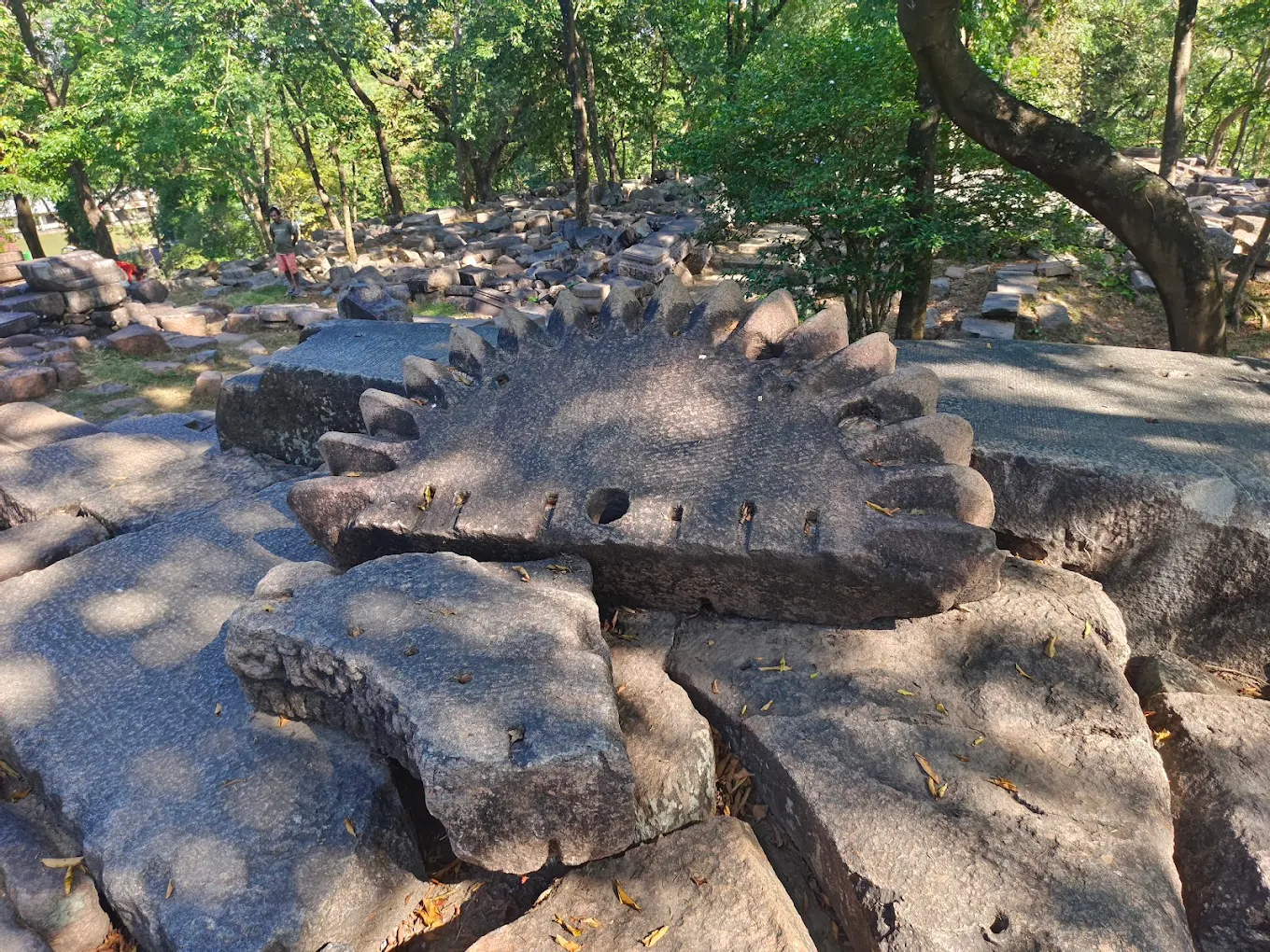 Bamuni Hills, photo 2 of 18