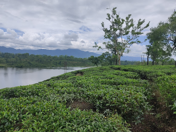 Doloo Lake, photo 4 of 8
