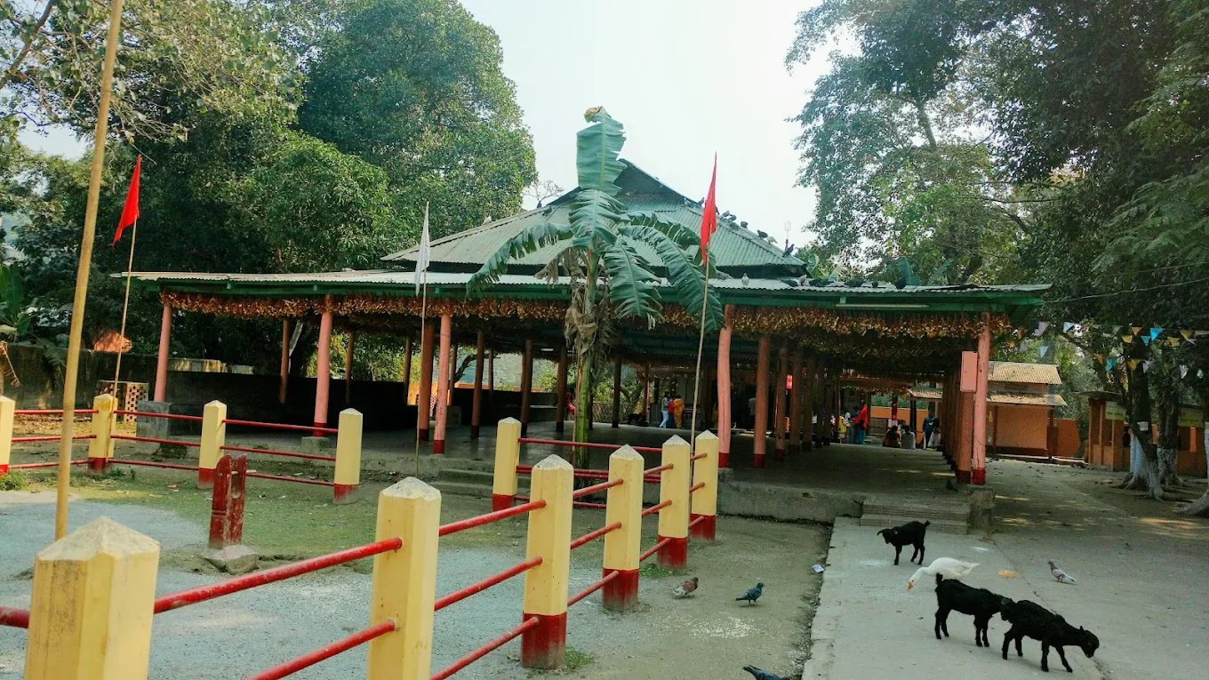 Bagheswari Temple, photo 2 of 8