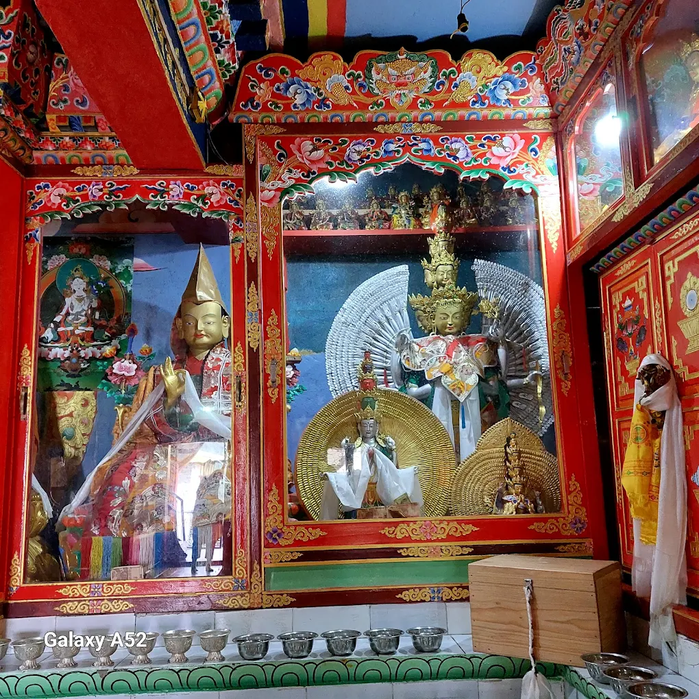 Ani Gompa JR69+GMX, photo 4 of 6