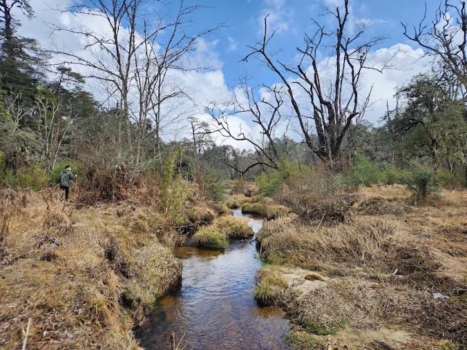 Talley Valley Wildlife Sanctuary HX9M+R5M, photo 2 of 7