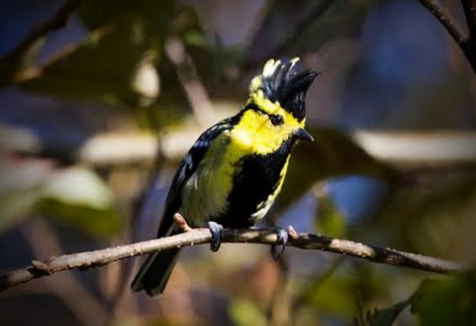 Eaglenest Wildlife Sanctuary, photo 1 of 9