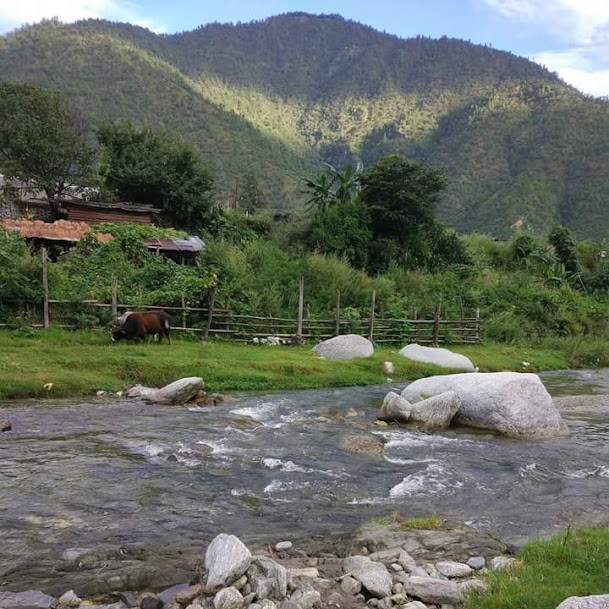 Rupa, photo 2 of 8