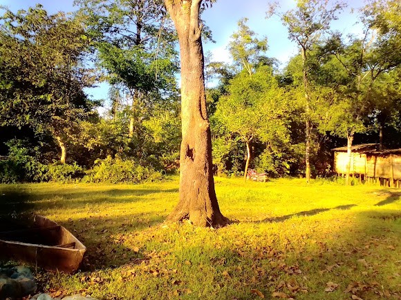 Roing, Arunachal Pradesh, photo 2