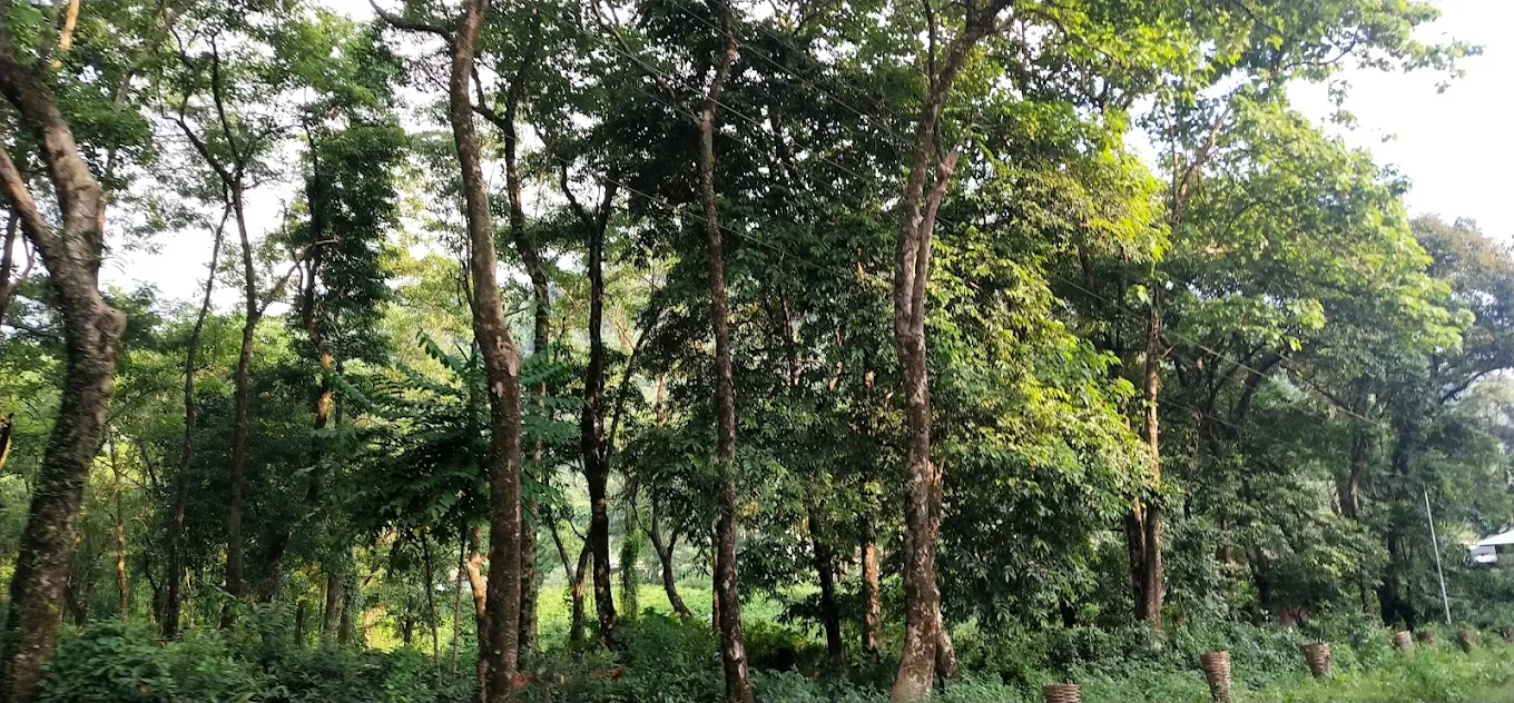 Aalo, Arunachal Pradesh