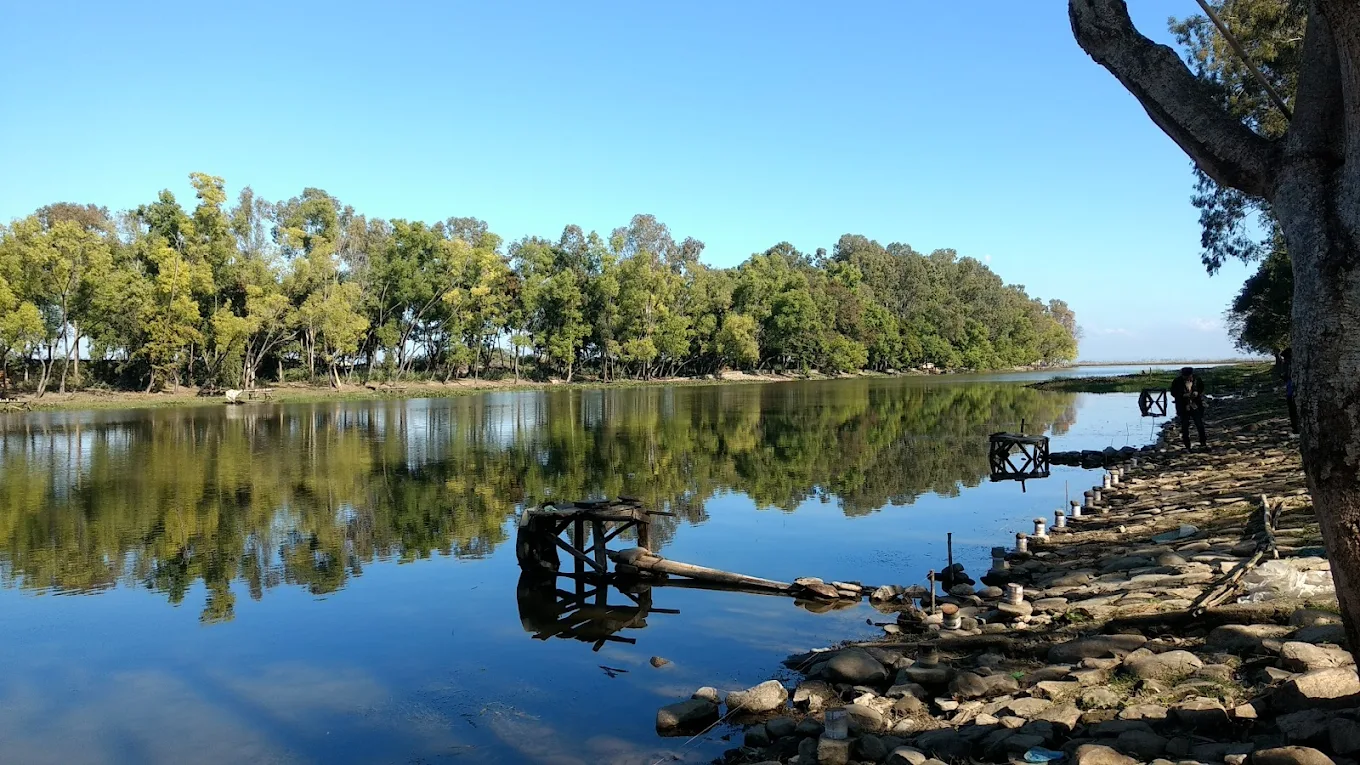 Keibul Lamjao National Park, photo 2 of 10
