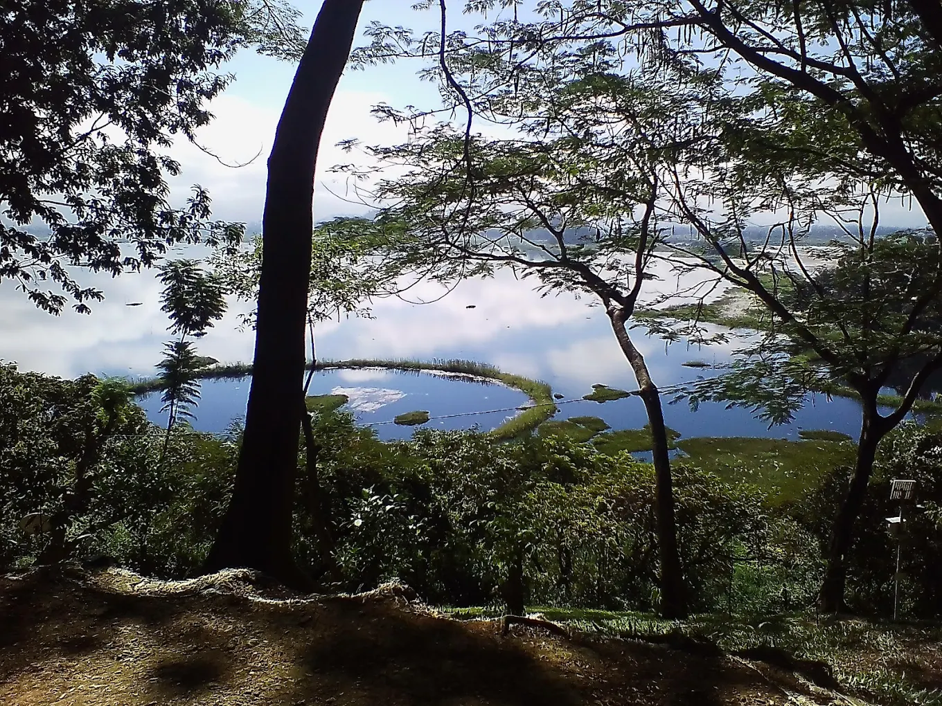 Keibul Lamjao National Park, photo 3 of 10
