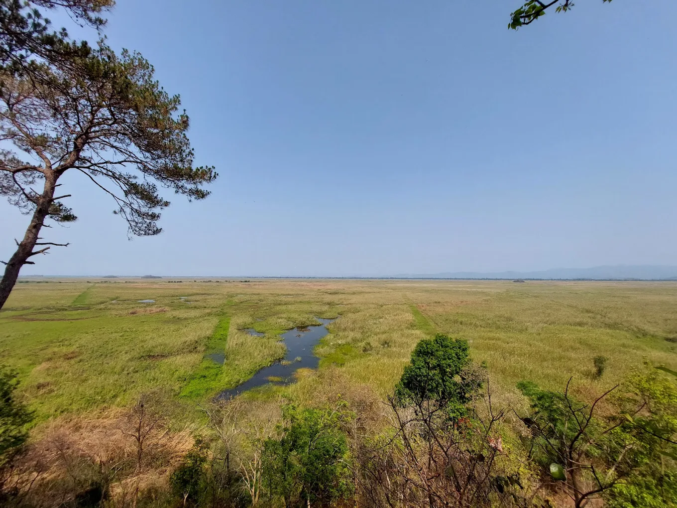 Keibul Lamjao National Park, photo 4 of 10