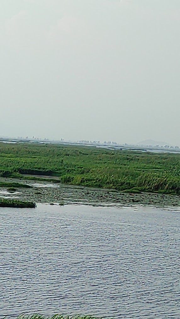 Karang Island, photo 1 of 8