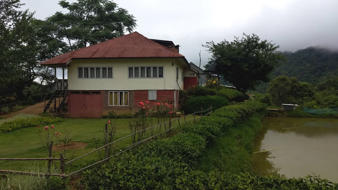 Nilai Tea Estate, photo 3 of 5