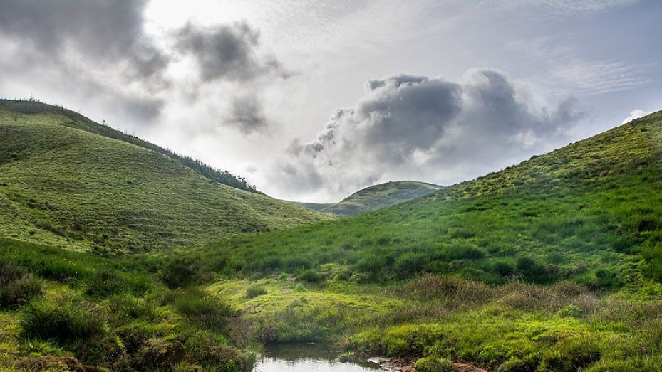Avalanche Lake, Nilgiris District, Ooty, Tamil Nadu, photo 2 of 4