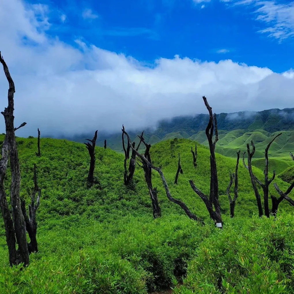 Dzukou Valley, photo 1 of 9