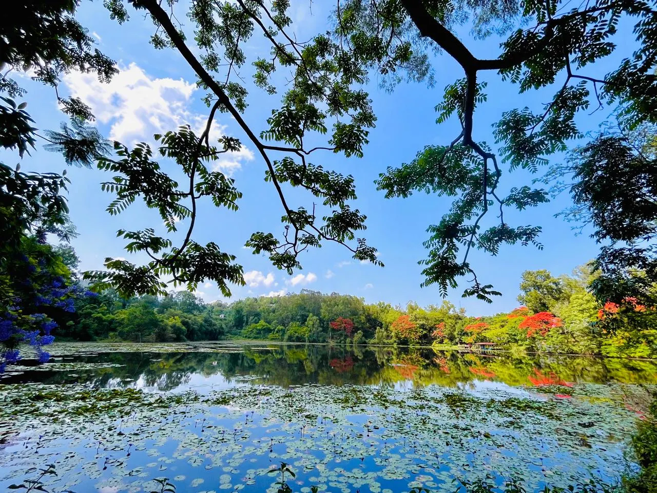 Loukoipat Ecological Park, photo 3 of 9