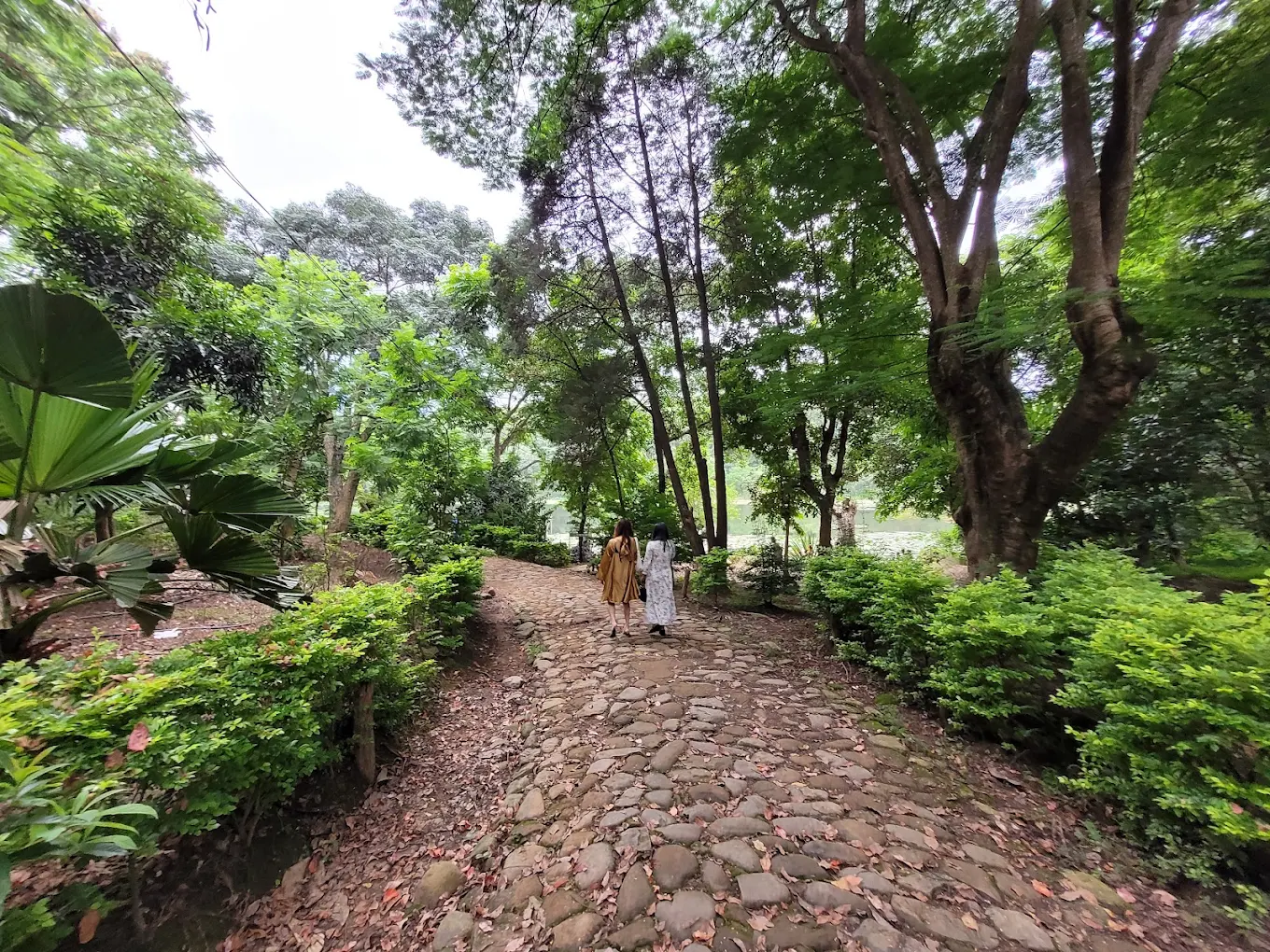 Tamenglong, Manipur, photo 2