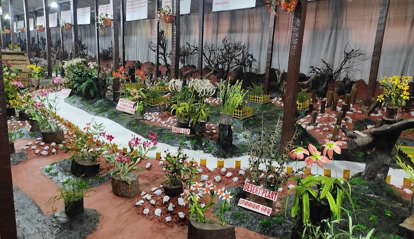 Thread Garden, photo 1 of 6