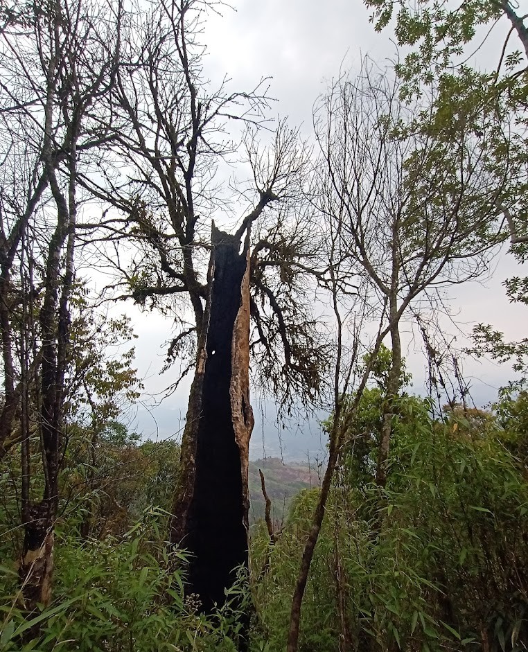 Koubru Peak, photo 2 of 6