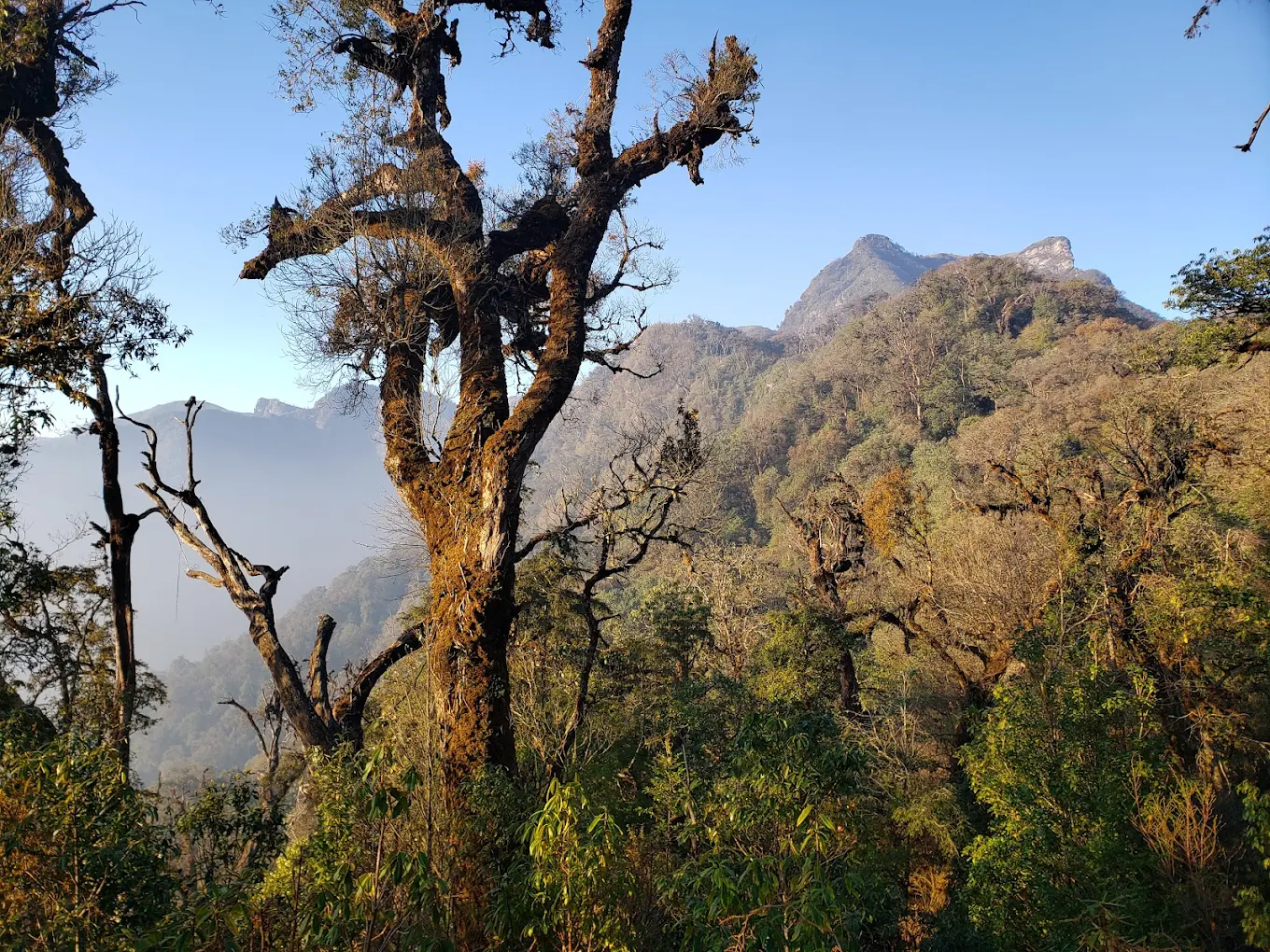 Japfü Peak, photo 3 of 9