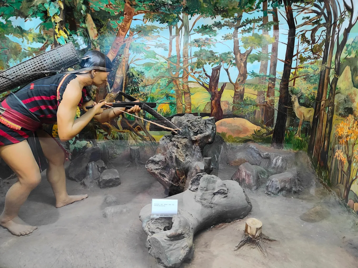 Nagaland State Museum, photo 4 of 7