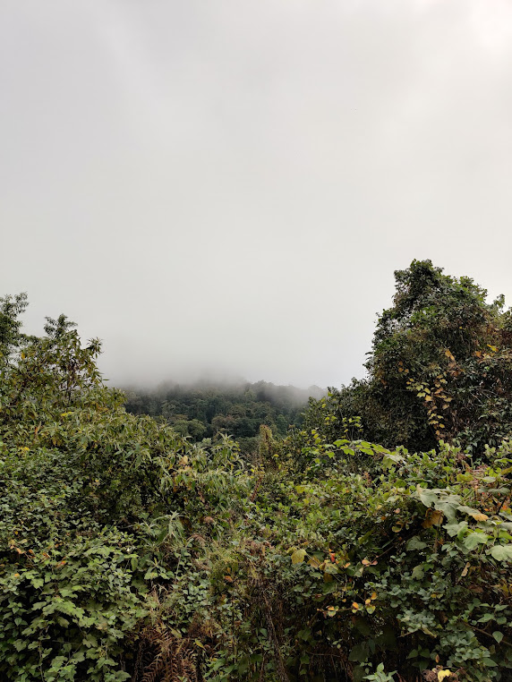 Puliebadze, Jotsoma Village, photo 4 of 9