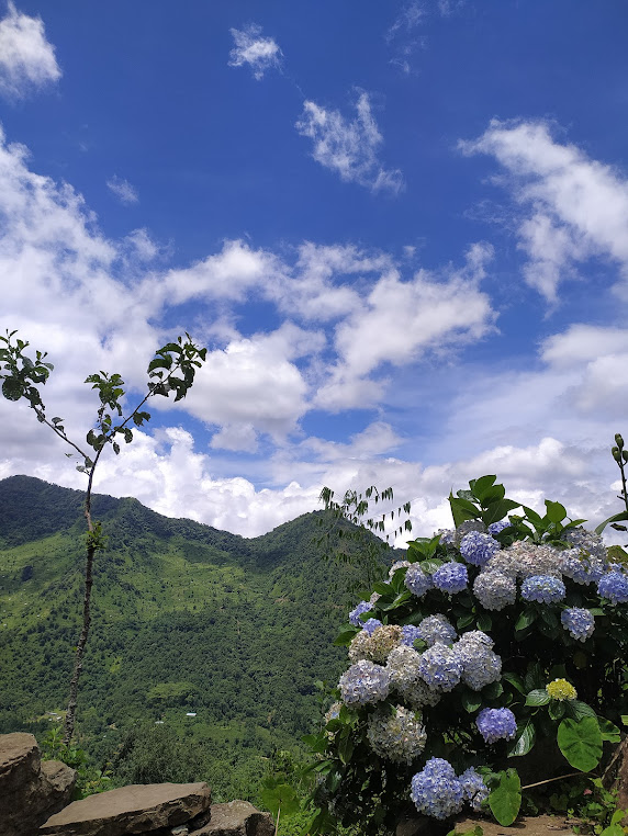 Dzukou Valley, Manipur, photo 2