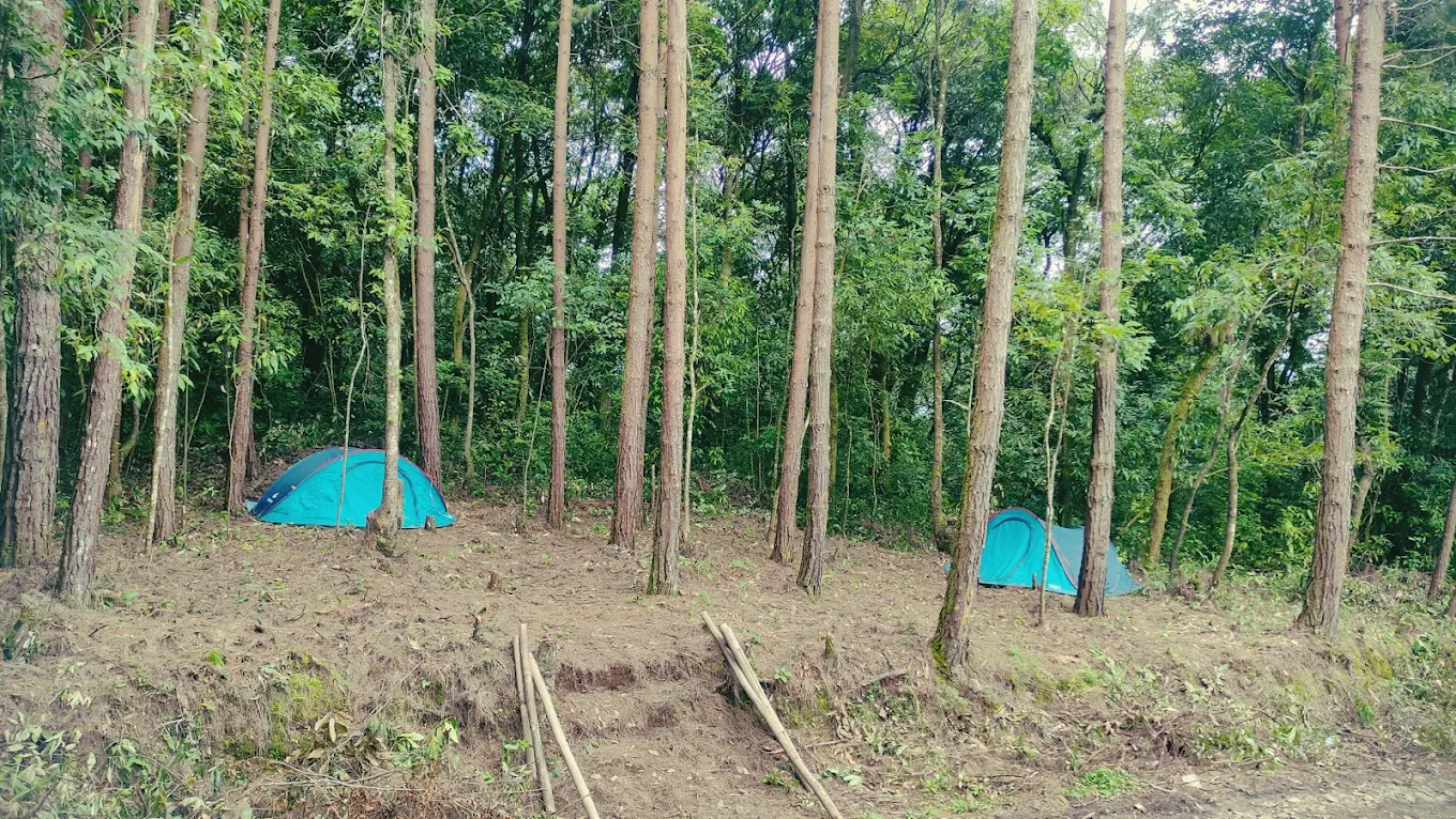 Dzükou Camp Site - Viswema, photo 2 of 8