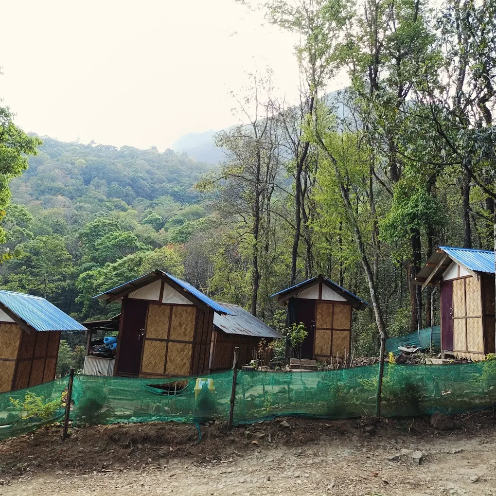 Dzükou Camp Site - Viswema, photo 4 of 8