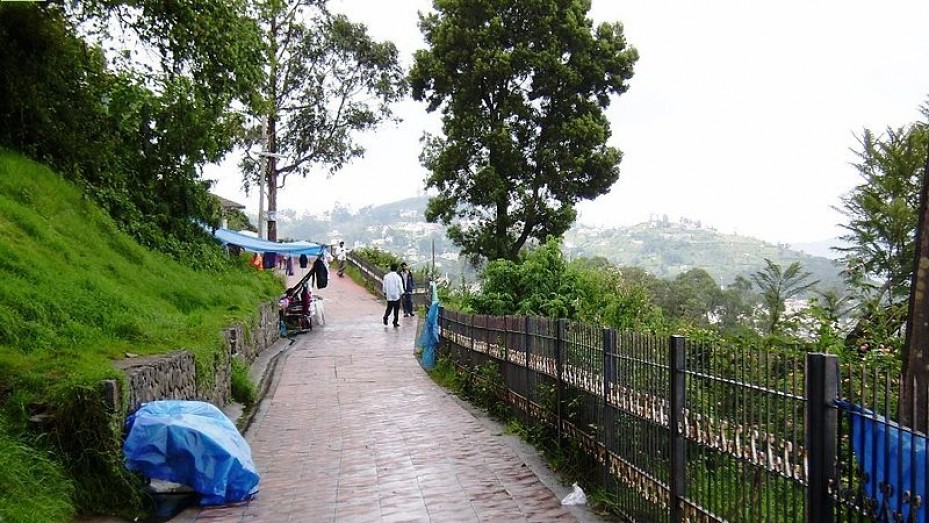 Coaker's Walk, photo 1 of 6