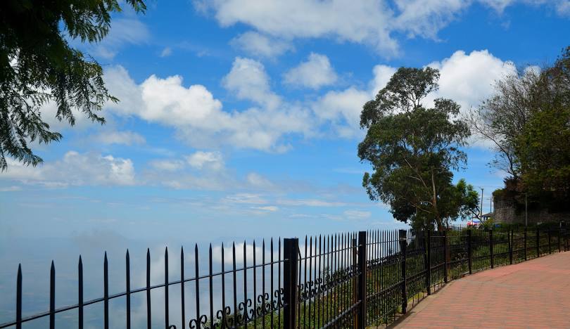 Coaker's Walk, photo 4 of 6