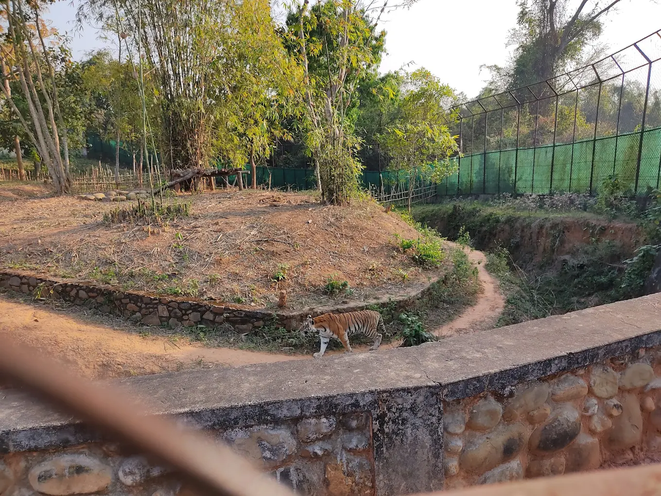 Nagaland Zoological Park, photo 2 of 16