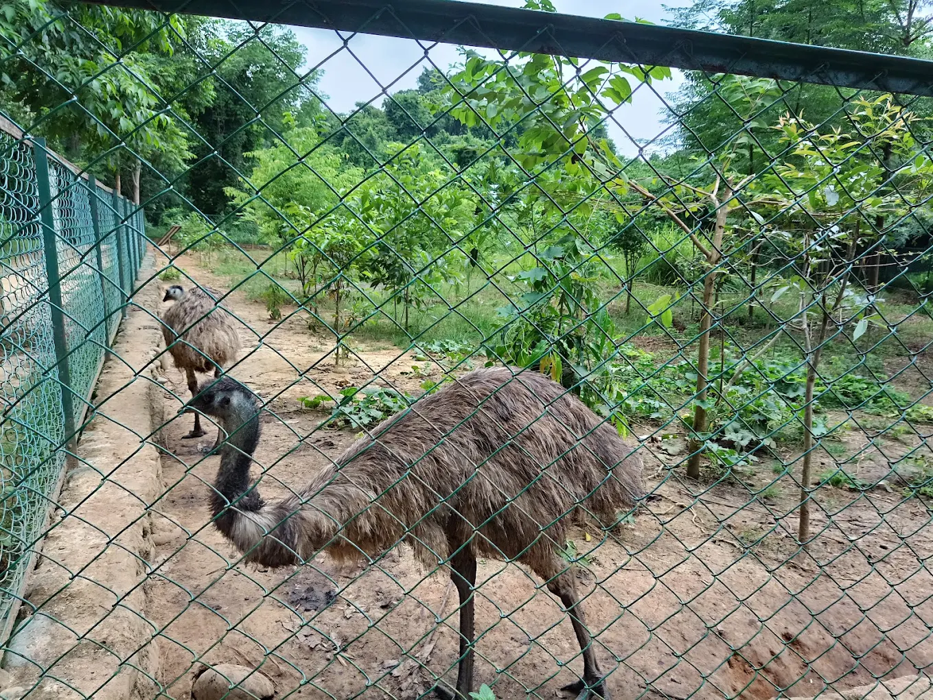 Nagaland Zoological Park, photo 3 of 16