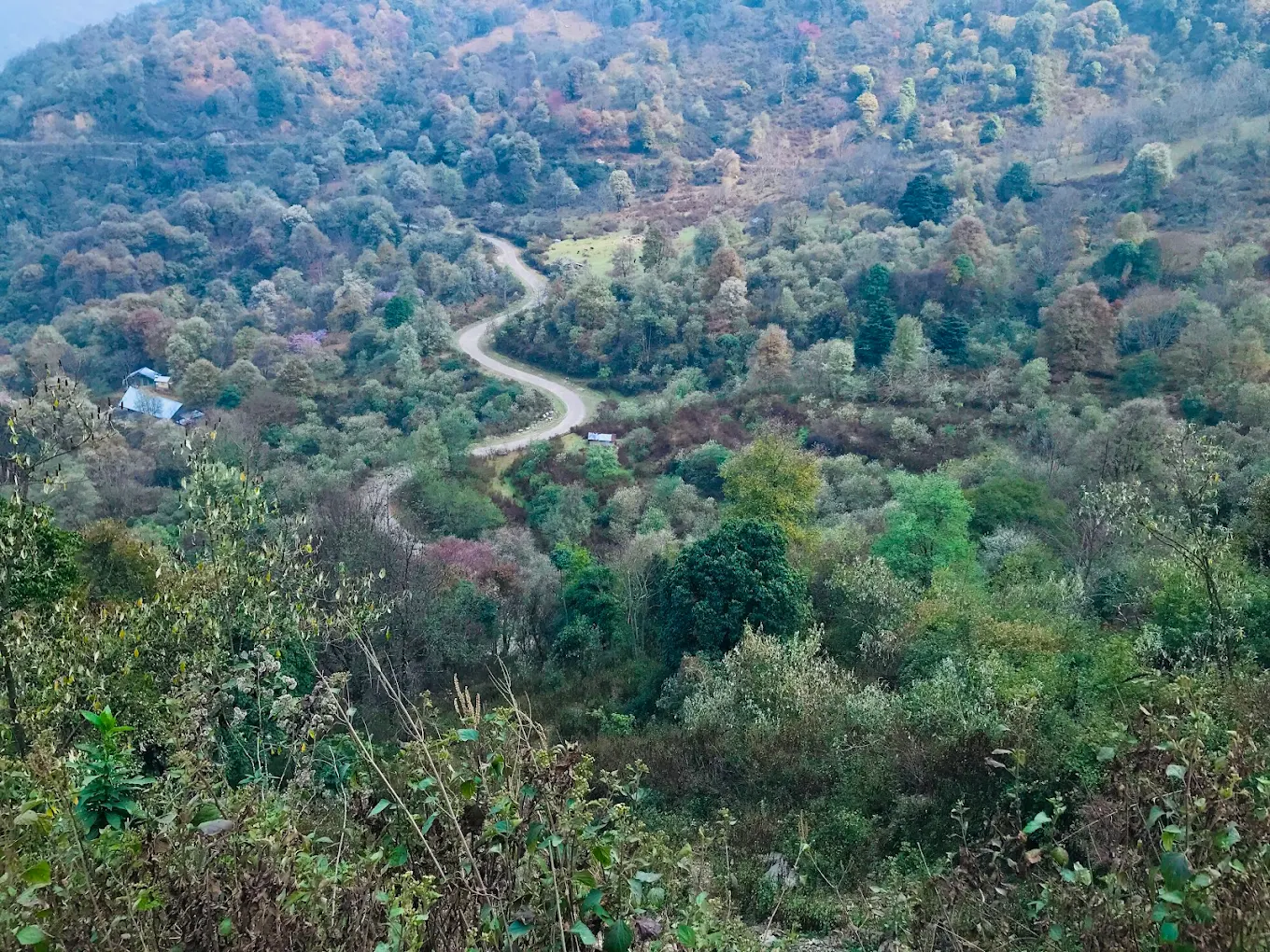Khonoma Sanctuary Fall, photo 1 of 6