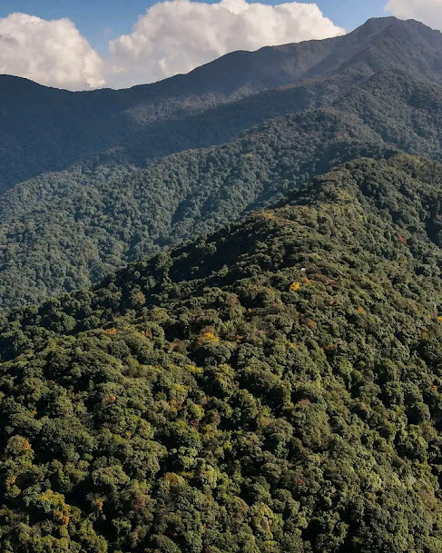 Tuensang, Nagaland, photo 2