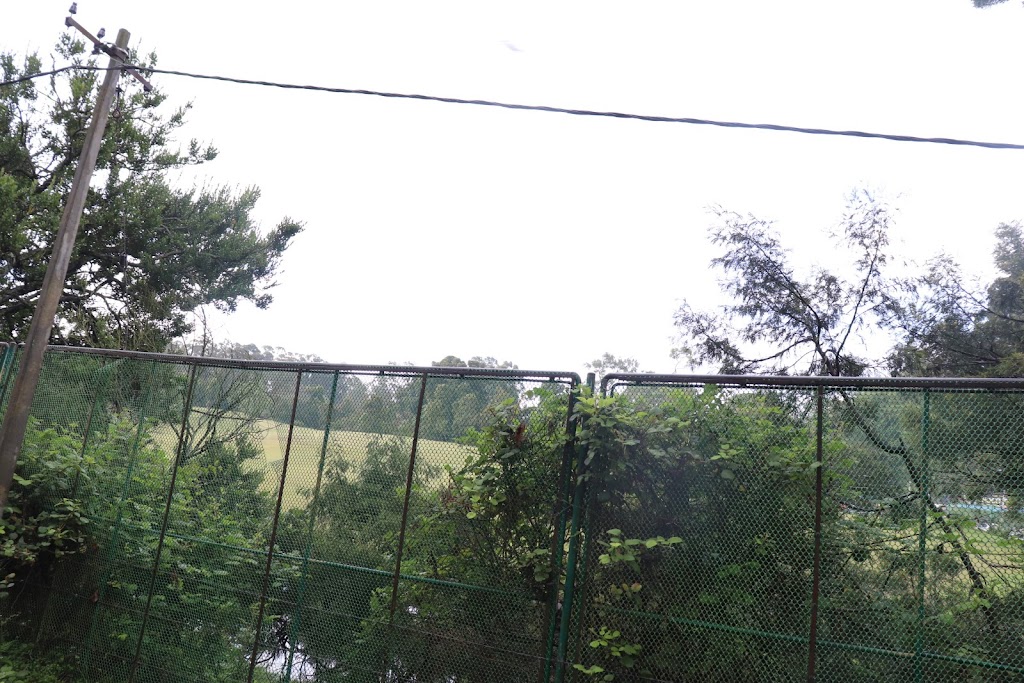 Kodaikanal, Tamil Nadu, photo 3