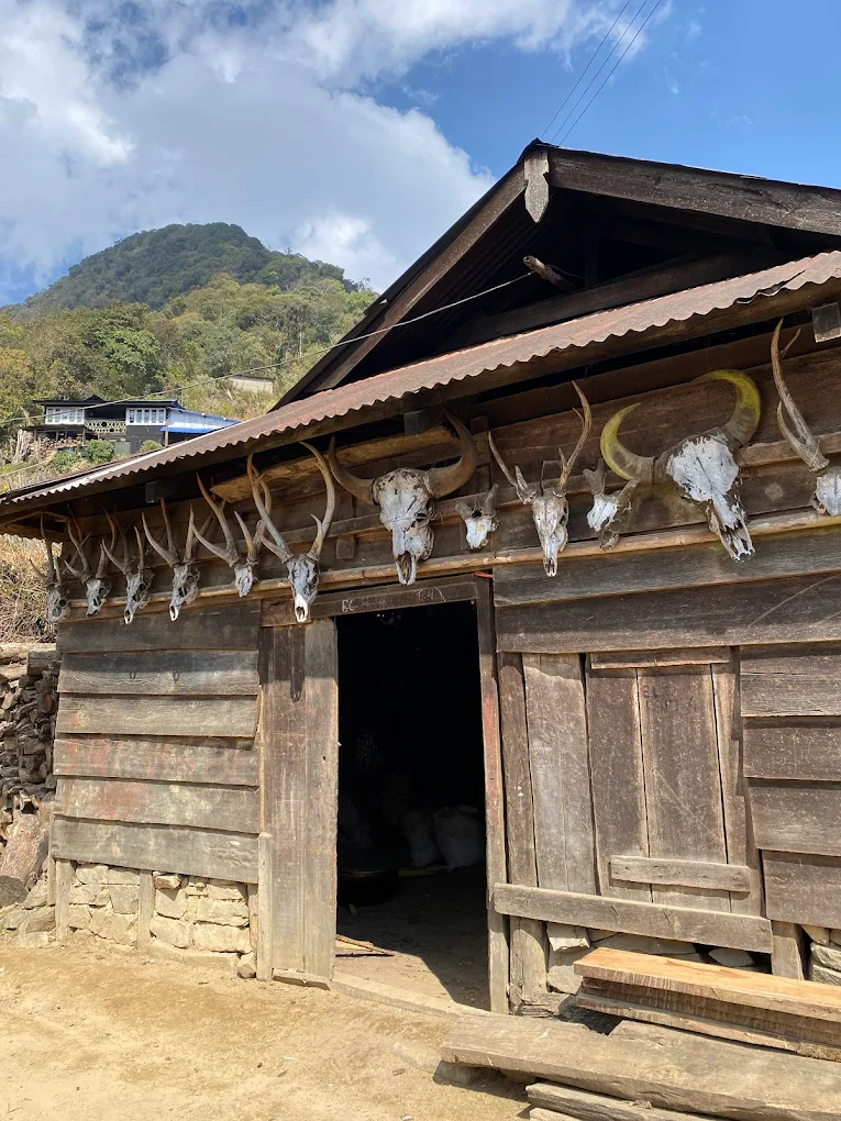 Dzuleke Village, Nagaland, photo 4