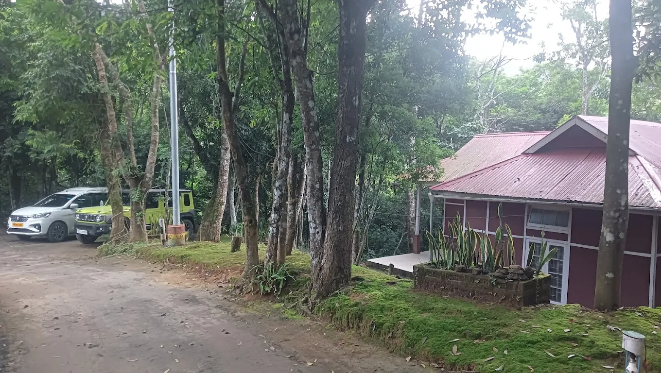 Reiek, photo 2 of 10