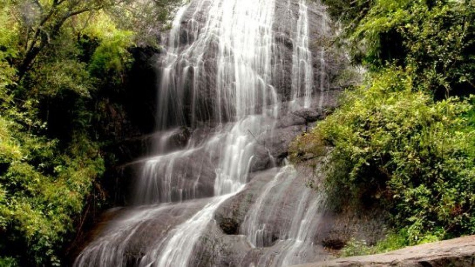 Bear Shola Falls Pathway, photo 2 of 5
