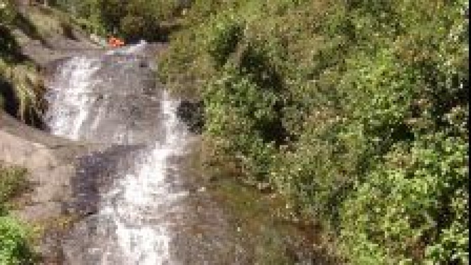 Bear Shola Falls Pathway, photo 1 of 5