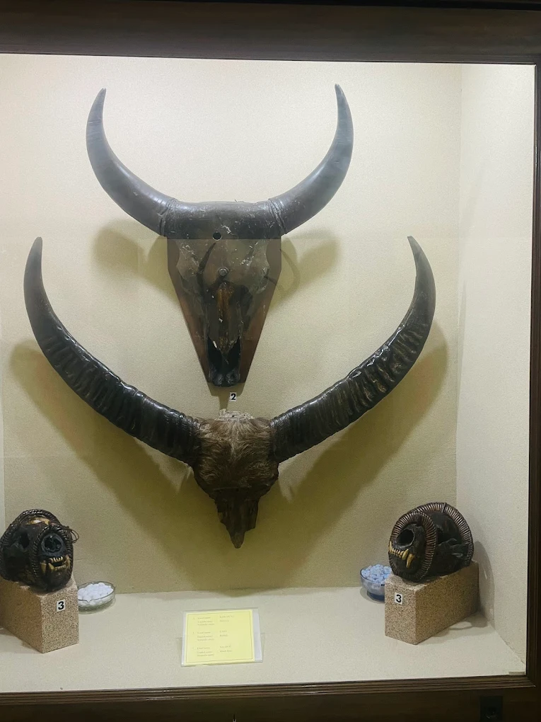 Mizoram State Museum, photo 2 of 7