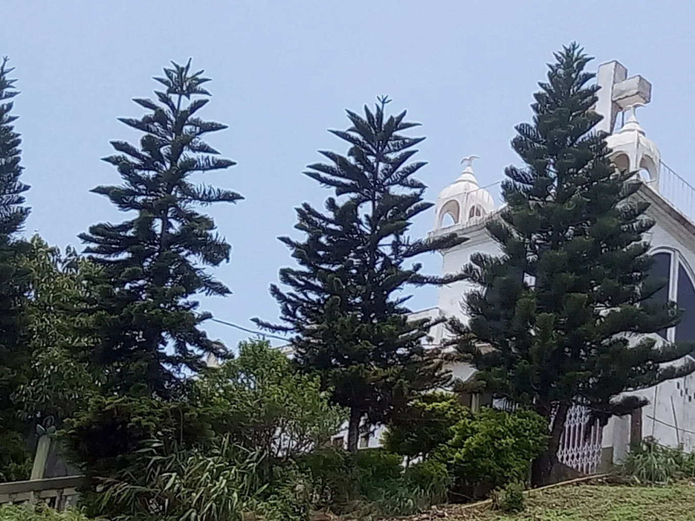 KV Paradise, photo 4 of 5