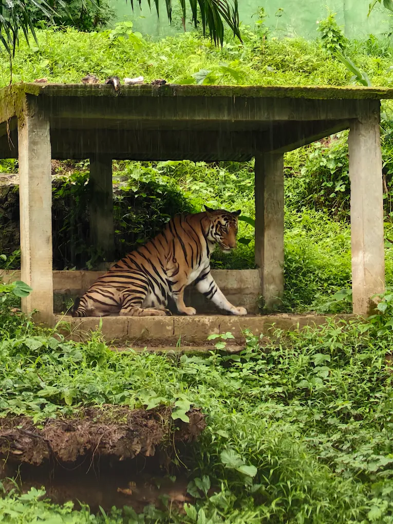 Aizawl Zoological Park, photo 4 of 9