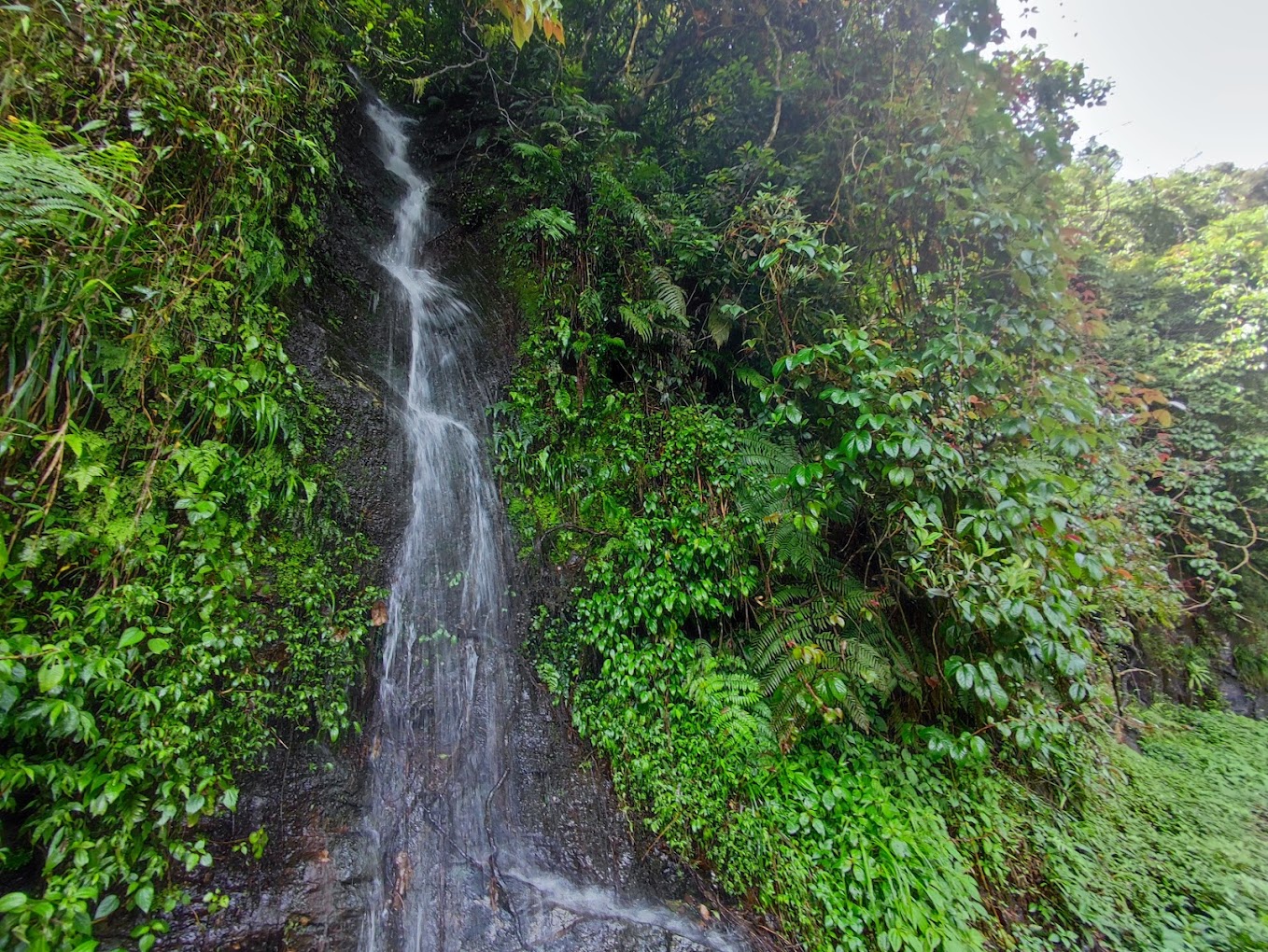 Silver Cascade Waterfall, photo 4 of 6