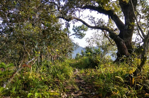 Lunglei, Mizoram
