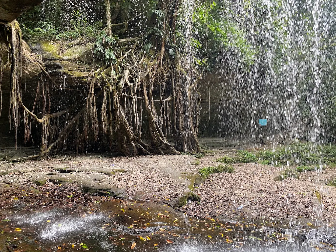 Tuirihiau Falls, photo 4 of 8