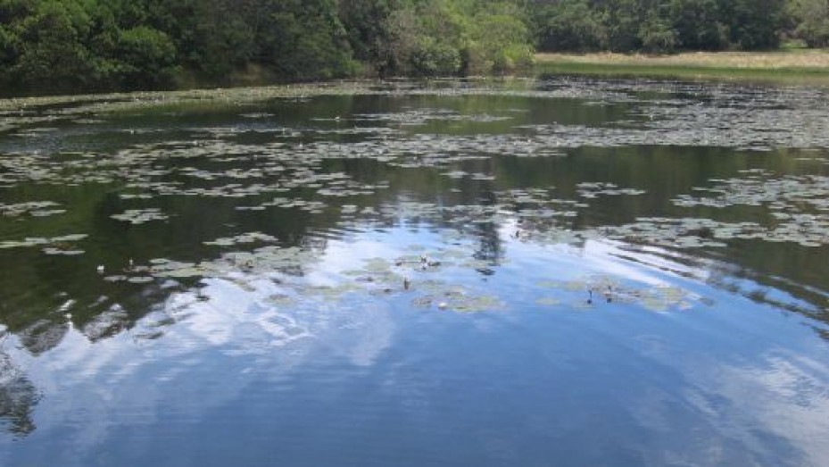 Berijam Lake, photo 1 of 5