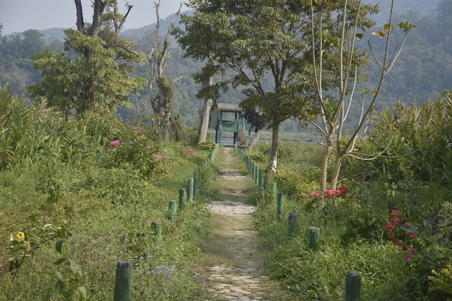 Phawngpui, Mizoram