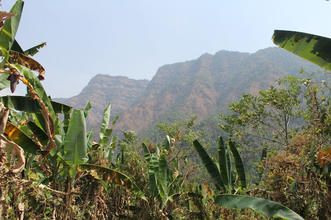 Phawngpui National Park, photo 3 of 9