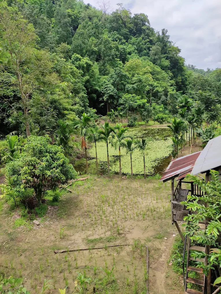 Thenzawl, Mizoram, photo 4